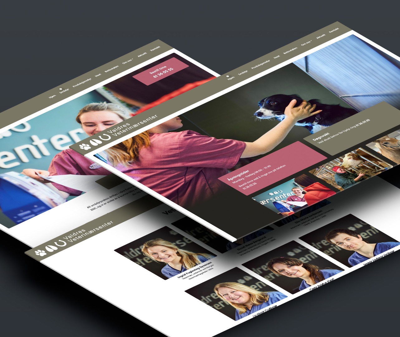 Valdres Veterinærsenter